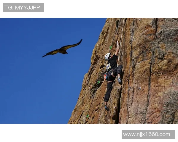 重庆排球队耐力问题引发热议球迷与专家各执己见探讨背后原因